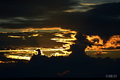 Sunset 11