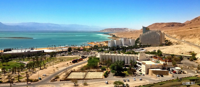 Dead Sea - Ein Bokek