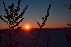 Ranné fotenie -23°C