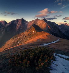 Západné Tatry