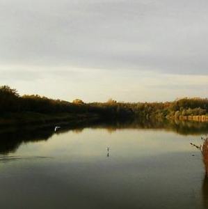 Jeseň na Dunaji