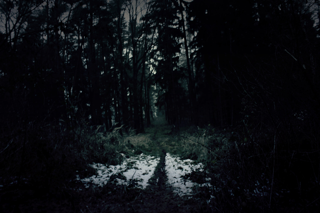 Darkness in forest