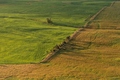 Fields from above