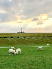 St. Peter Ording - Iphone 6s