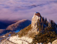 Hradné bralo