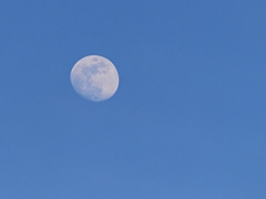 moon 2017.04.08