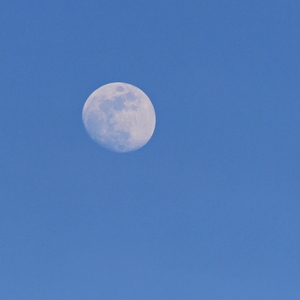 moon 2017.04.08