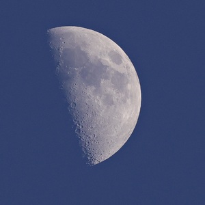 moon 2025.02.05 16:42