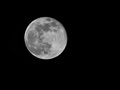 moon 2020.04.08 20 56