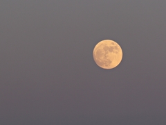 moon 2017.01.11