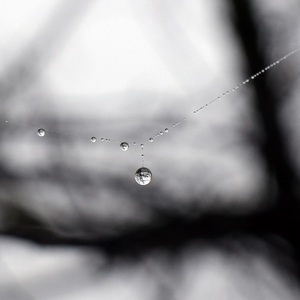 prírodný náhrdelnik