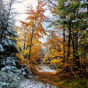 Zima - Jeseň - Leto