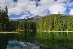 Vrbické Pleso
