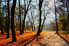 Tovarnícky park