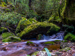 hope creek