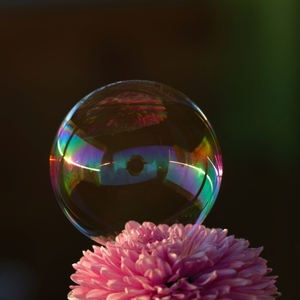 Symetria a asymetria