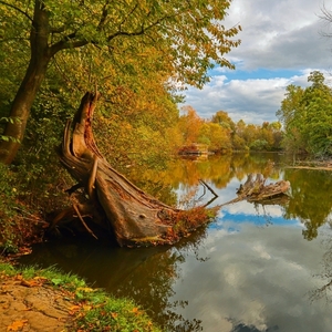 Rybárske zátišie