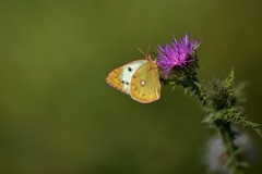 Keď je z čoho čerpať silu...