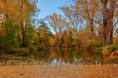 Jesenné zátišie pri rybníčku