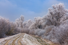 Kľukaté cesty zimou