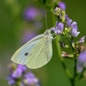 Len tak si popíjam ...
