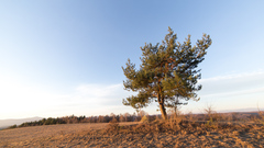 Vrcholovka