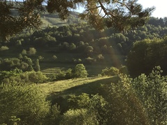 Dúha