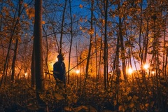 Autumn woodland on Fire