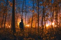 Autumn woodland on Fire