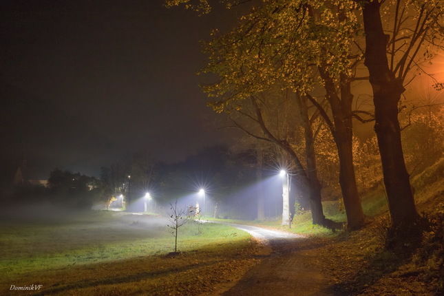 Jesenný večer v hmle