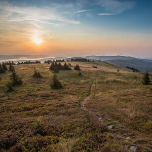 Kojšovská hoľa