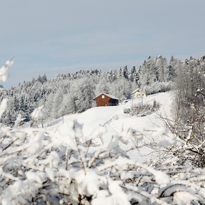 rozprávková zima