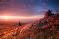 Kojšovská hoľa