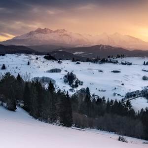 Pieniny