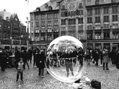 V bubline