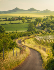 Na ceste Ceskym stredohorim