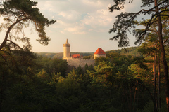 Kokorin