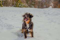 Takk už mi to hoď!