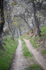 Sto rokov samoty IV