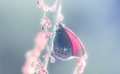 Ice dream