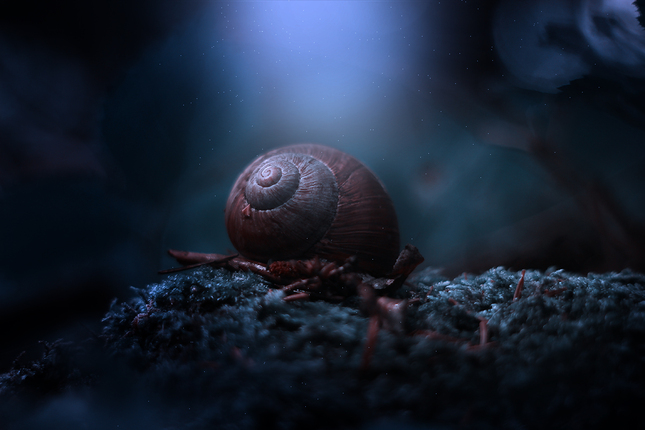 snail dreams..