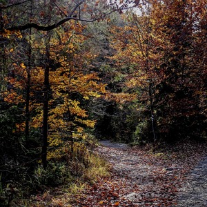 jesennou cestičkou II.