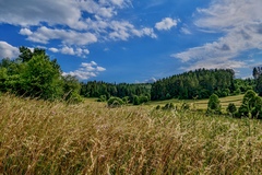 krajinka