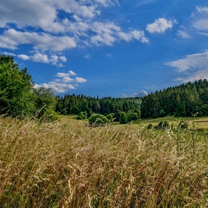 krajinka