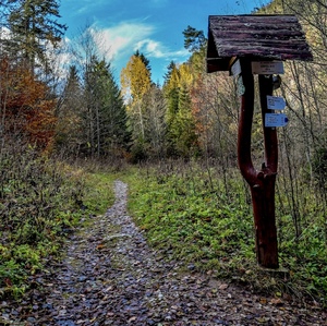 na potulkách jeseňou