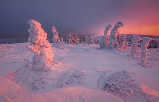 Rudé ráno v Jeseníkách