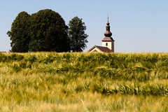 Strážca cesty