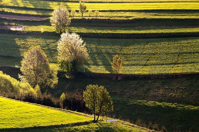 Hriňová-lazy