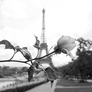 Neha Paríža