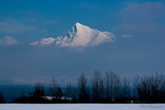 Kriváň